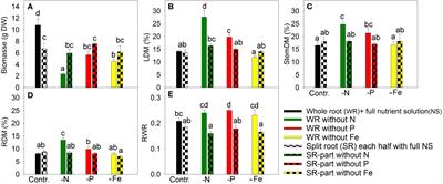 Heterogeneous nutrient supply modulates root exudation and accumulation of medicinally valuable compounds in Artemisia annua and Hypericum perforatum